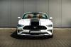 03-mustang-przod.jpg
