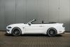 04-mustang-bok.jpg