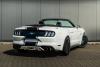 05-mustang-tyl.jpg
