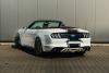 06-mustang-tyl-bok.jpg