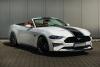 39901-mustang-glowne.jpg